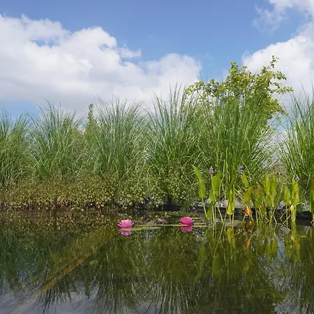 Puur Frühstückspension Poortugaal
