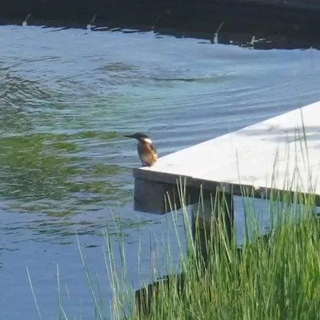 Puur Frühstückspension 3*