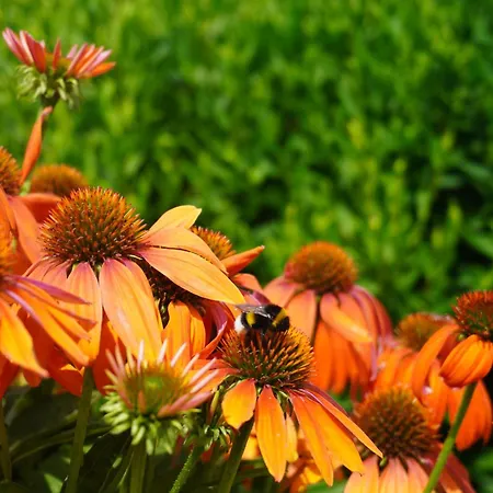 Puur Frühstückspension Poortugaal