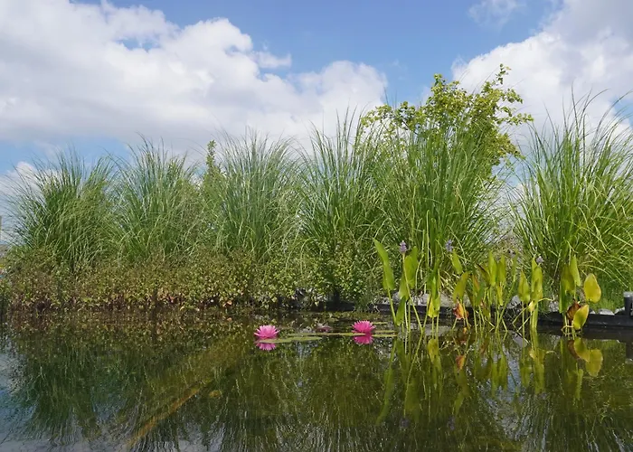 Puur Bed and breakfast Poortugaal