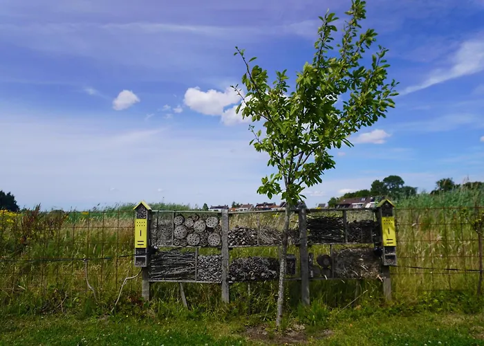 Bed and breakfast Puur Poortugaal