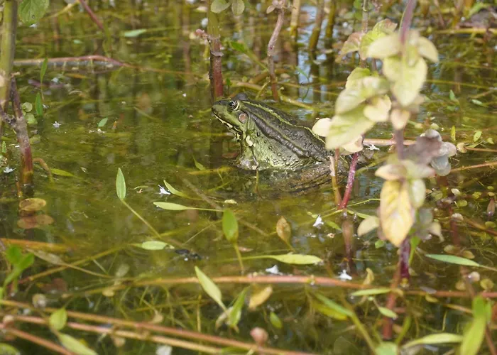 Puur Bed and breakfast Poortugaal