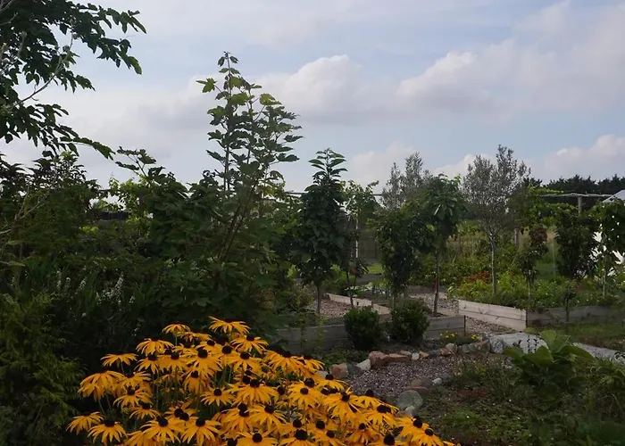 Puur Bed and breakfast Poortugaal