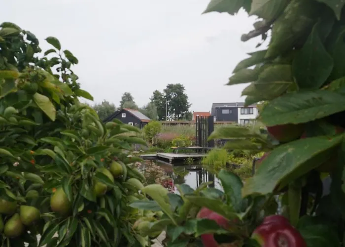 Bed and breakfast Puur 3*