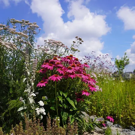 Puur ベッド・アンド・ブレックファスト 3*