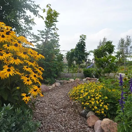 ベッド・アンド・ブレックファスト Puur