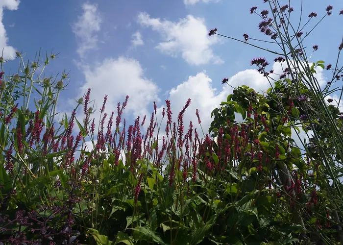 Puur ベッド・アンド・ブレックファスト 3*