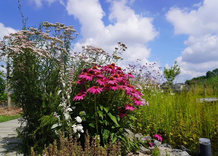 Puur ベッド・アンド・ブレックファスト 3*