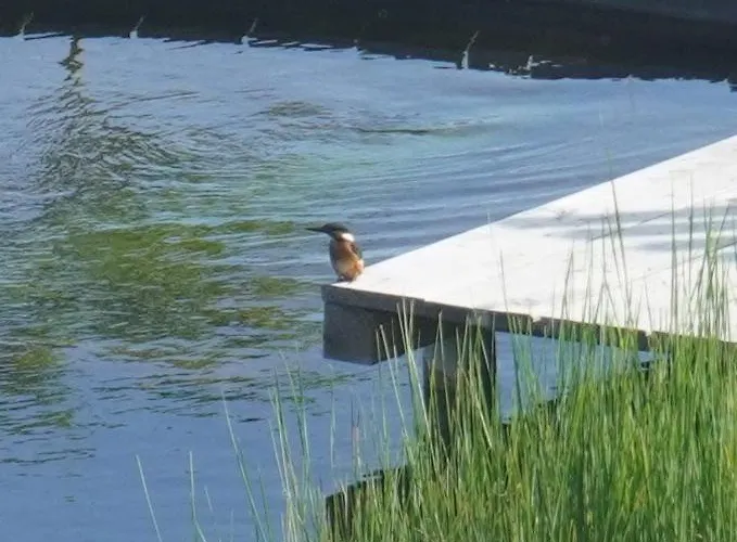 Puur ベッド・アンド・ブレックファスト 3*