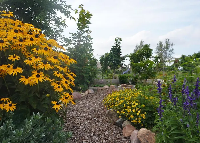 ベッド・アンド・ブレックファスト Puur