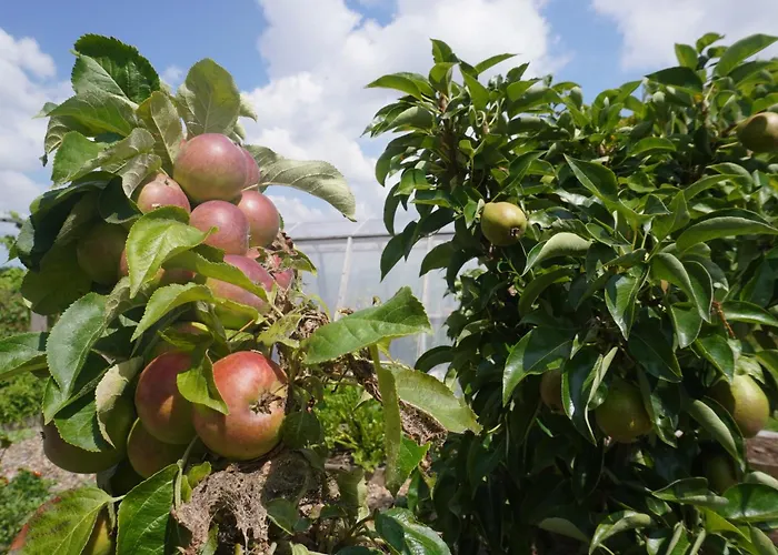 ベッド・アンド・ブレックファスト Puur 3*